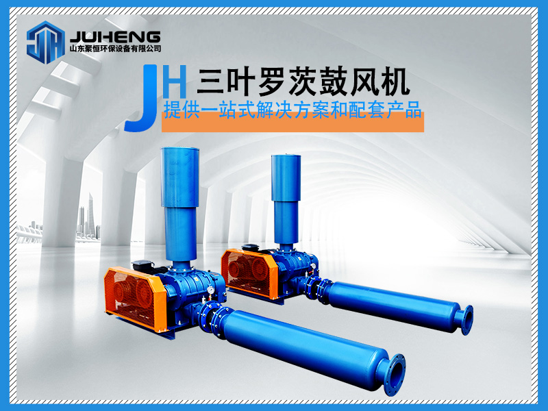 羅茨風(fēng)機(jī)的型號(hào)這么多，那個(gè)才是適合我們的？